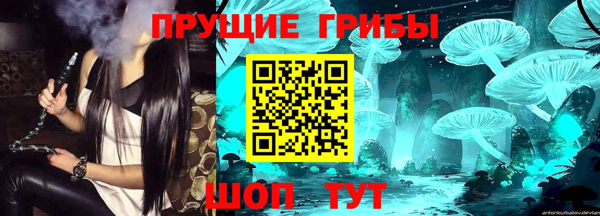 Псилоцибиновые грибы GOLDEN TEACHER Прокопьевск